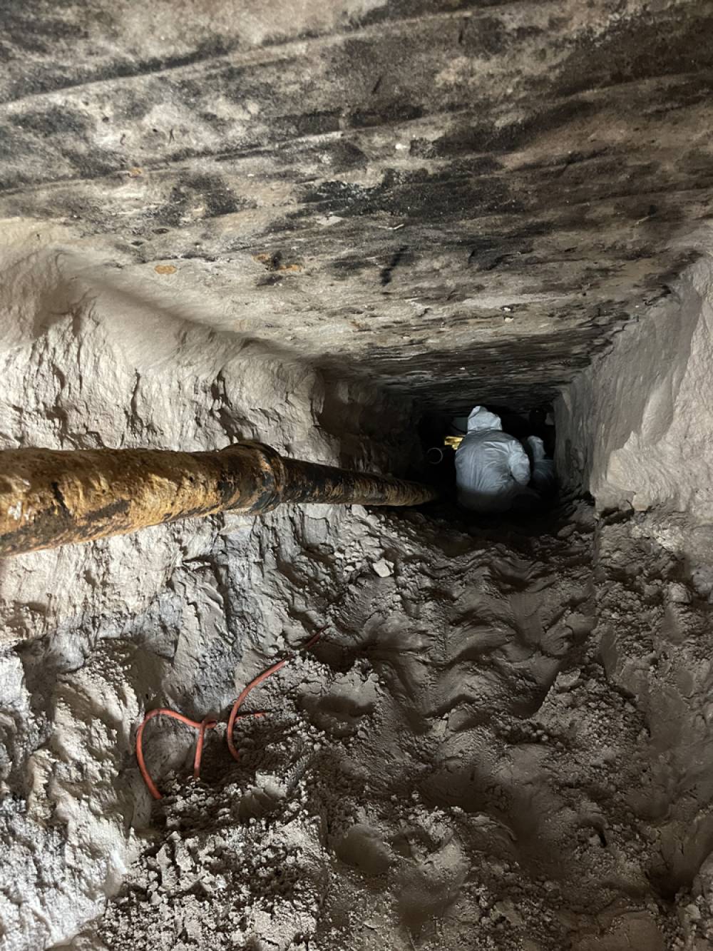 Most Common Causes Of Sewer Damages