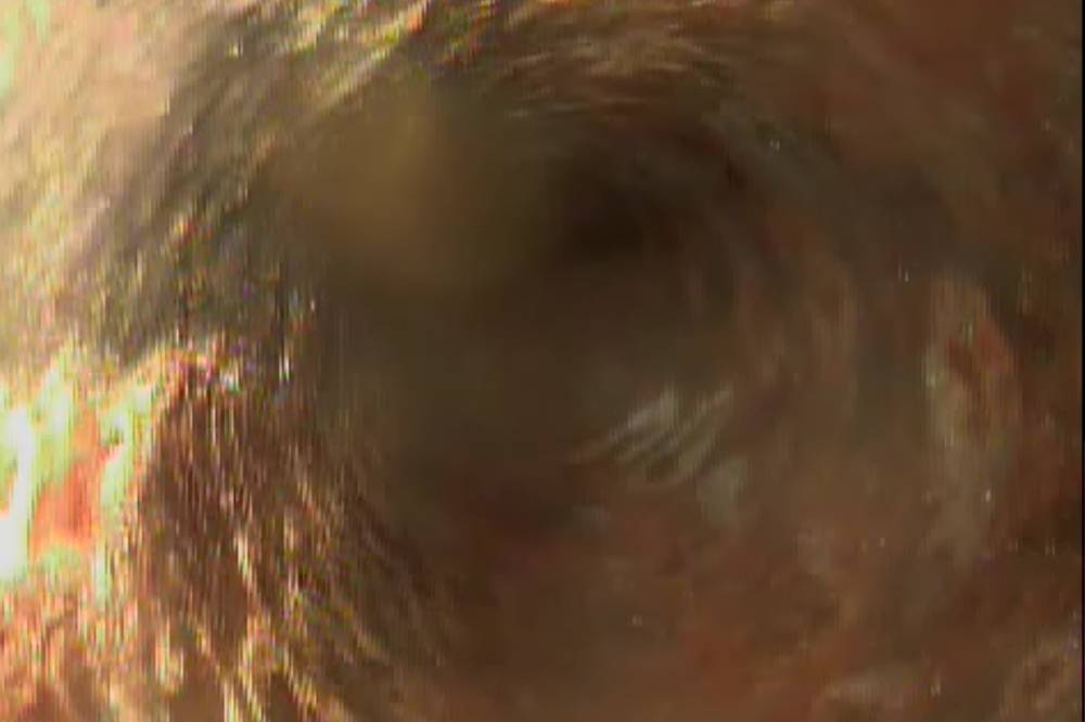 Why You Should Inspect The Sewer Before Buy A House?